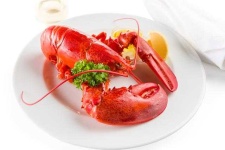 image of lobster