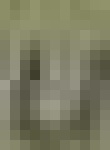 image of char