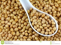 image of beans #20