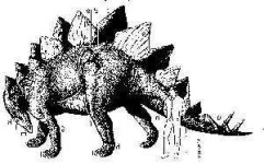 image of stegosaurus