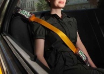 image of seat_belt