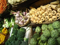 image of food