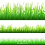 image of grass