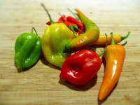 image of fruit_and_vegetable