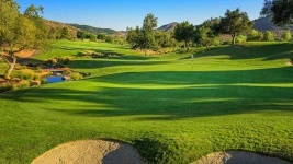 image of golf_club