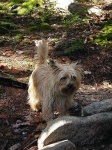 image of cairn