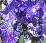image of texture