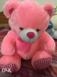 image of teddy_bear