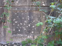 image of brass