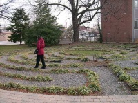 image of maze