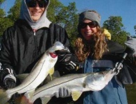 image of barracouta