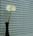 image of texture