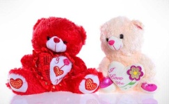 image of teddy_bear