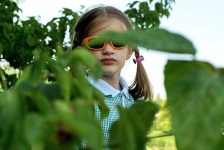 image of sunglass
