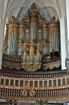 image of organ #0