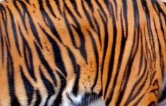 image of texture