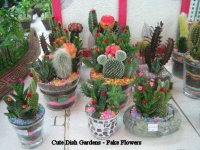 image of cactus
