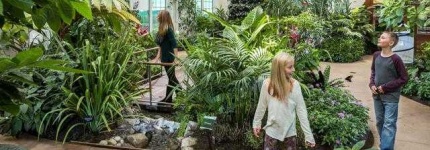image of garden