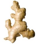 image of ginger #20