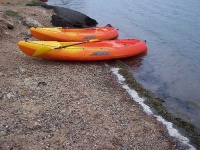 image of paddle