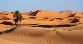image of desert
