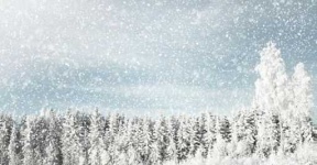image of snowy