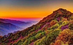 image of landscape