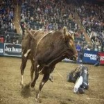 image of bull_riding #20