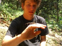 image of walking_stick