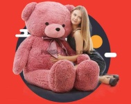 image of teddy_bear
