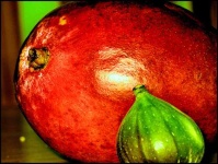 image of fig