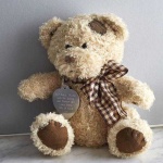 image of teddy_bear