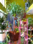 image of indoor