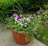 image of pot
