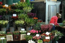 image of indoor