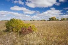 image of prairie