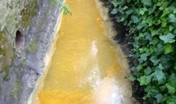 image of river