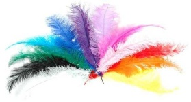 image of feather