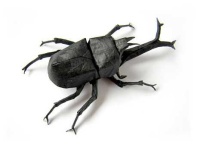 image of rhinoceros_beetle
