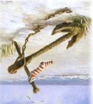 image of anchor