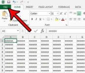 image of spreadsheet