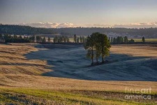 image of prairie