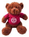 image of teddy_bear