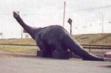 image of brontosaurus