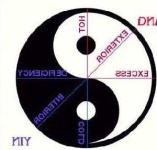 image of yin_yang #52
