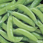 image of peas