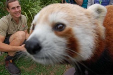 image of animal