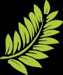image of leaf