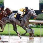 image of sport