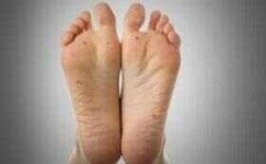 image of human_body_parts